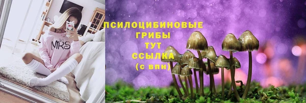 COCAINE Сковородино