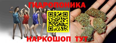 стаф Волжск