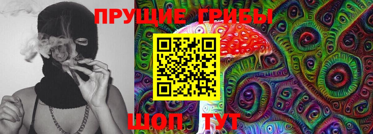 Псилоцибиновые грибы GOLDEN TEACHER  Вход с VPN  даркнет сайт  Удомля 