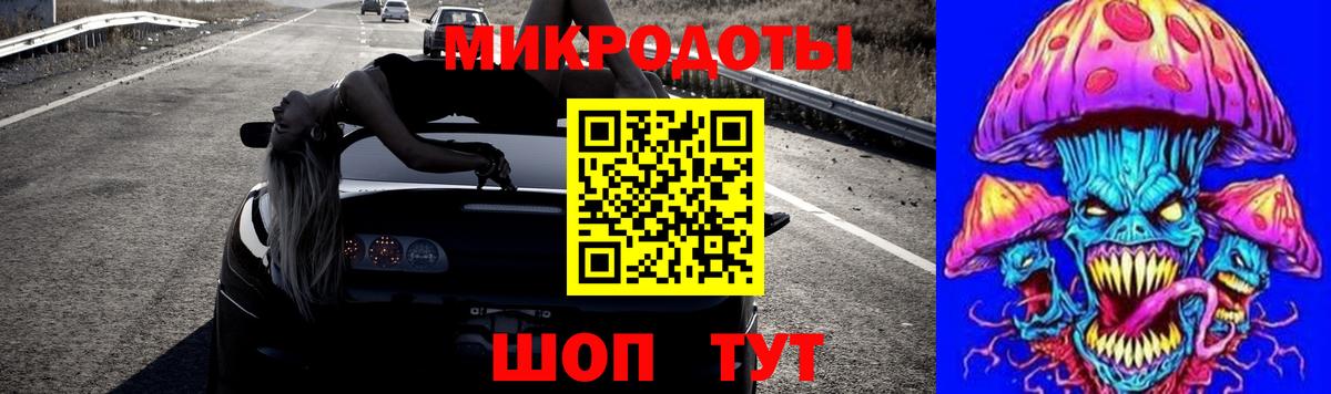 Псилоцибиновые грибы Psilocybe Удомля