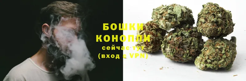 где можно купить наркотик  Удомля  omg вход  Бошки марихуана THC 21% 